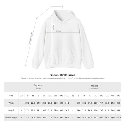 Philippians 4:13 Embroidered Christian Hoodie | Premium Unisex Faith Pullover